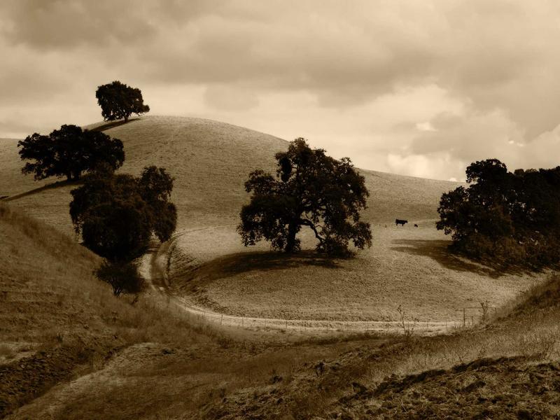 sudoku even odd sudoku screenshot 2