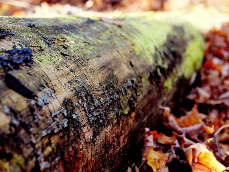 android screenshot 2